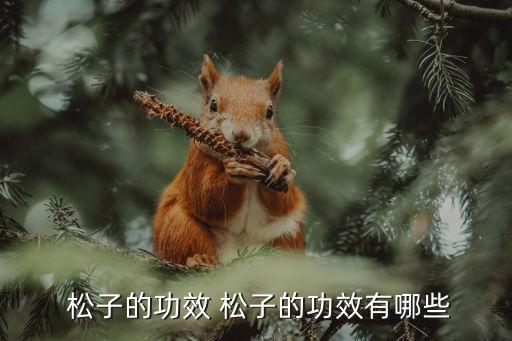 松子的功效與作用及禁忌,松子營養(yǎng)豐富抗衰老、潤腸通便