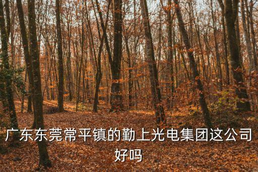 廣東東莞常平鎮的勤上光電集團這公司好嗎
