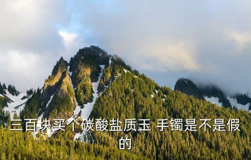 玉手鐲價格,2萬元羊脂玉手鐲你敢買嗎?