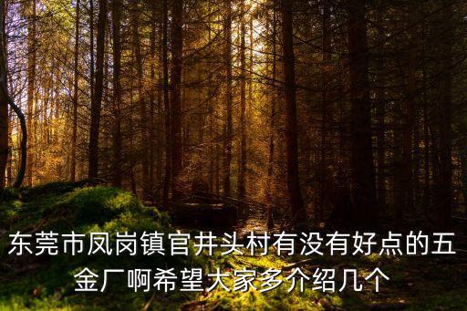 東莞鳳崗鎮埋地圓管籃球架，廣東省東莞市鳳崗鎮那里有美特斯邦威專賣店