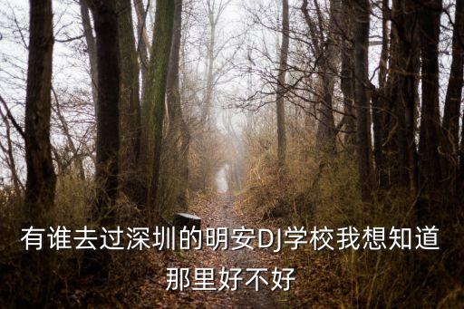 有誰去過深圳的明安DJ學校我想知道那里好不好
