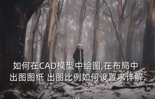 如何在CAD模型中繪圖,在布局中 出圖圖紙 出圖比例如何設置求詳解...