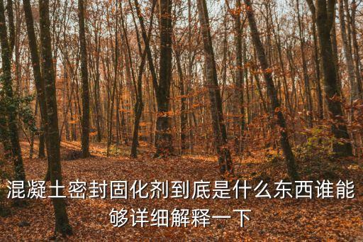 東莞什么是混凝土密封固化劑性能，什么是混凝土密封固化劑