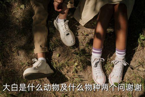 廣州大白生物，大白是什么動(dòng)物及什么物種兩個(gè)問謝謝