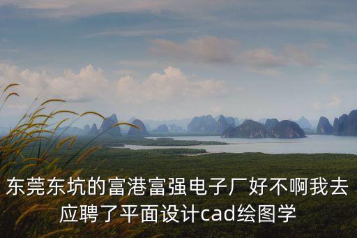 東莞東坑的富港富強電子廠好不啊我去應聘了平面設計cad繪圖學