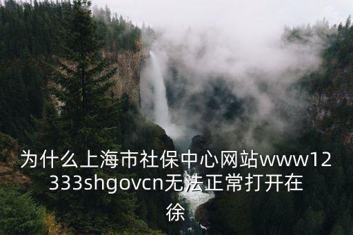 為什么上海市社保中心網站www12333shgovcn無法正常打開在徐