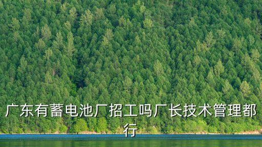 廣東有蓄電池廠招工嗎廠長技術(shù)管理都行