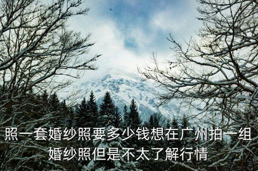 照一套婚紗照要多少錢想在廣州拍一組婚紗照但是不太了解行情