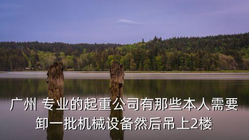 廣州 專業的起重公司有那些本人需要卸一批機械設備然后吊上2樓