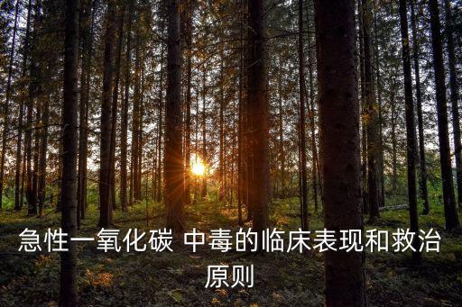 急性一氧化碳 中毒的臨床表現和救治原則