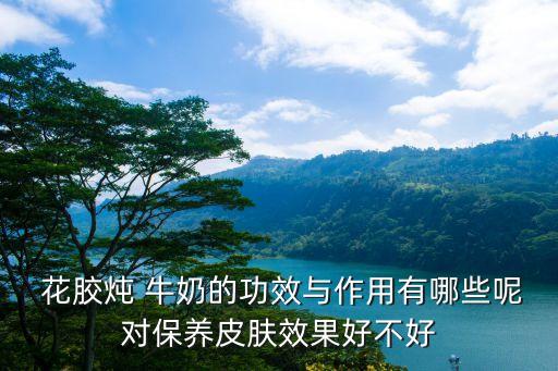 牛奶花膠,牛奶燉花膠先放還是后放牛奶?
