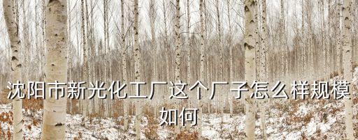 沈陽市新光化工廠這個(gè)廠子怎么樣規(guī)模如何