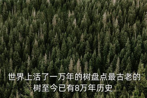  世界上活了一萬年的樹盤點最古老的樹至今已有8萬年歷史
