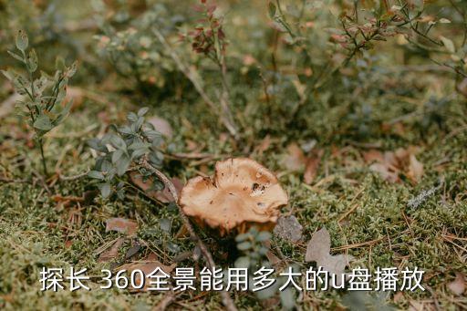 探長 360全景能用多大的u盤播放