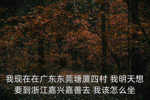 我現(xiàn)在在廣東東莞塘廈四村 我明天想要到浙江嘉興嘉善去 我該怎么坐