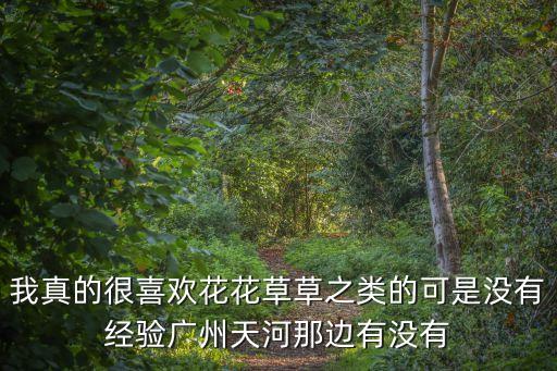 我真的很喜歡花花草草之類的可是沒有經驗廣州天河那邊有沒有
