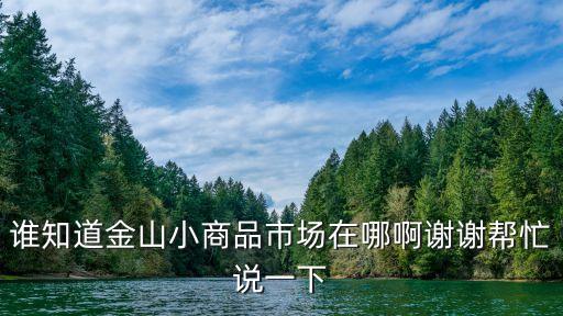 誰知道金山小商品市場(chǎng)在哪啊謝謝幫忙說一下