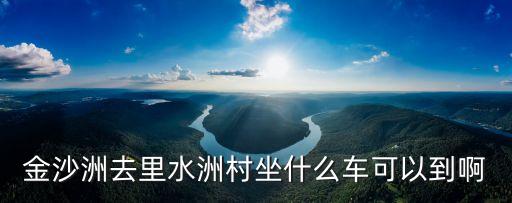 金沙洲去里水洲村坐什么車可以到啊