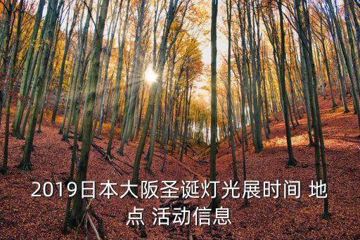 燈展,中國(guó)大阪jj圣誕樹(shù)燈光展亮燈