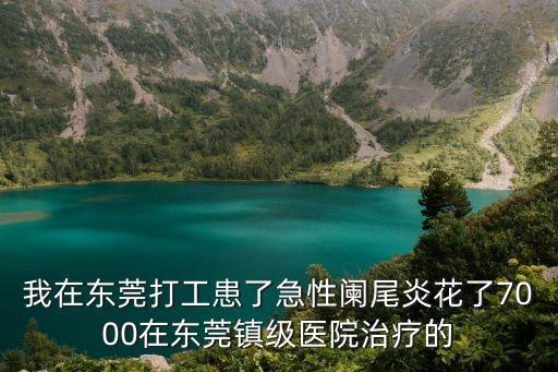 東莞市醫院賬單，我在東莞打工患了急性闌尾炎花了7000在東莞鎮級醫院治療的