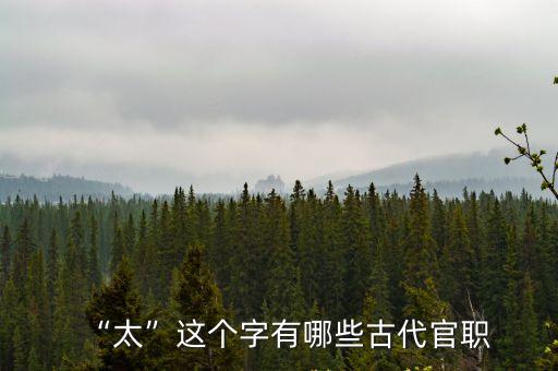 “太”這個字有哪些古代官職