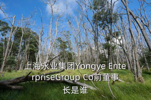 上海永業集團Yongye EnterpriseGroup Co前董事長是誰
