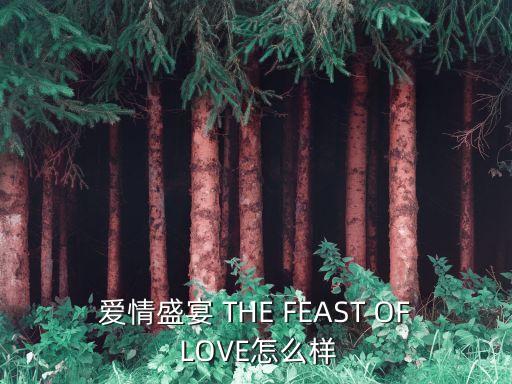 愛(ài)情盛宴 THE FEAST OF LOVE怎么樣