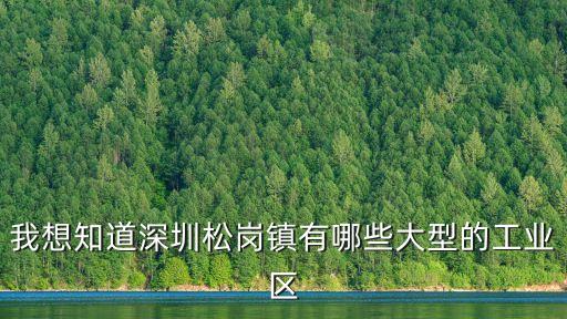 深圳n崗工業園，深圳龍崗都有哪些大型工業區