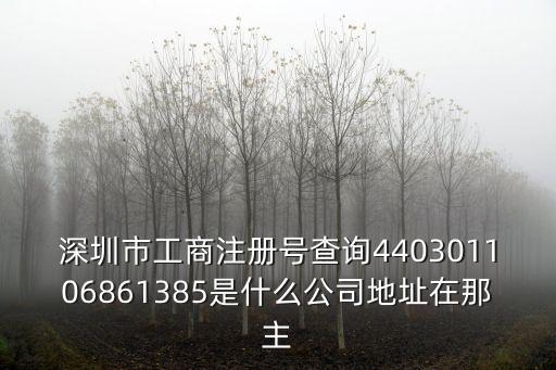 深圳市工商注冊號查詢440301106861385是什么公司地址在那主