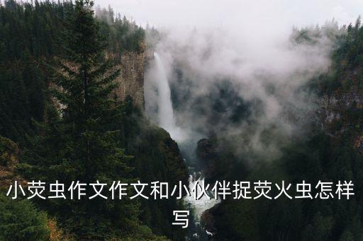 小熒蟲作文作文和小伙伴捉熒火蟲怎樣寫
