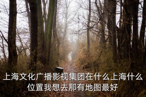 上海市文化廣播影視局辦公室，想知道 上海市 上海浦東文化局 在哪