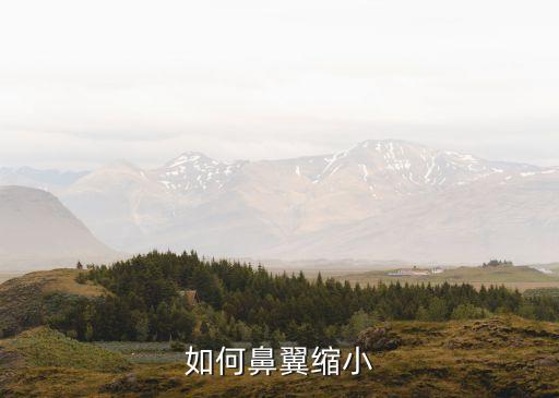如何鼻翼縮小