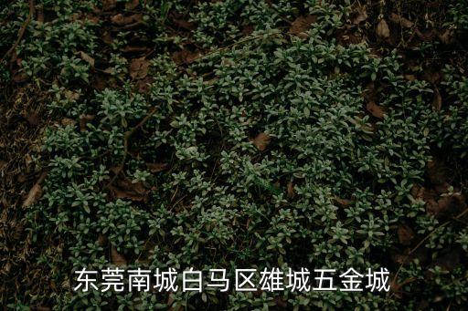 東莞南城白馬區(qū)雄城五金城