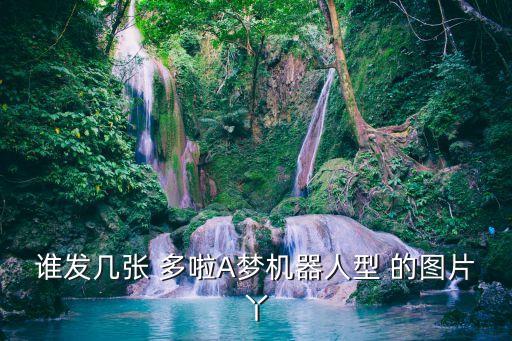 誰發(fā)幾張 多啦A夢機(jī)器人型 的圖片丫