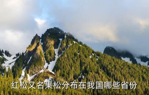 果松，紅松又名果松分布在我國哪些省份