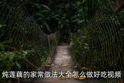 蓮藕做法，燉蓮藕的家常做法大全怎么做好吃視頻