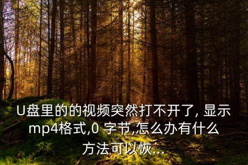 U盤里的的視頻突然打不開了, 顯示mp4格式,0 字節,怎么辦有什么方法可以恢...