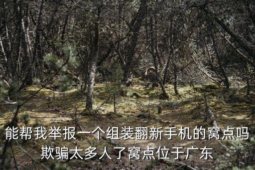 能幫我舉報一個組裝翻新手機的窩點嗎欺騙太多人了窩點位于廣東