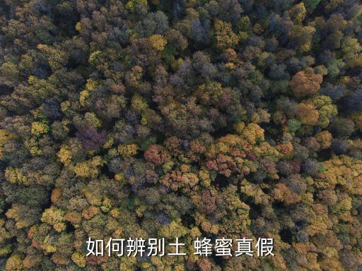 如何辨別土 蜂蜜真假