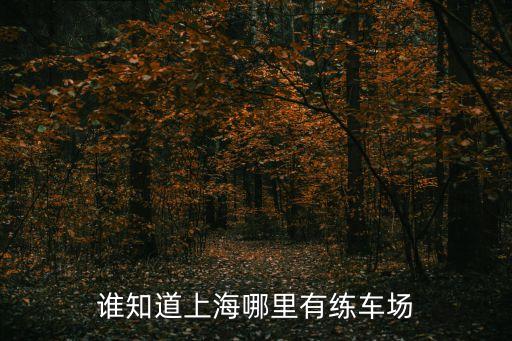 誰知道上海哪里有練車場