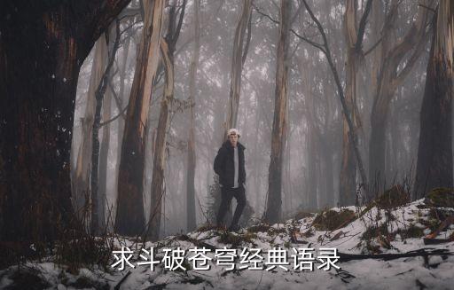 斗破蒼穹經(jīng)典語錄，斗破蒼穹中的經(jīng)典語錄有嗎
