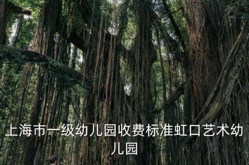 上海市級幼兒園標準表，上海幼兒園劃分