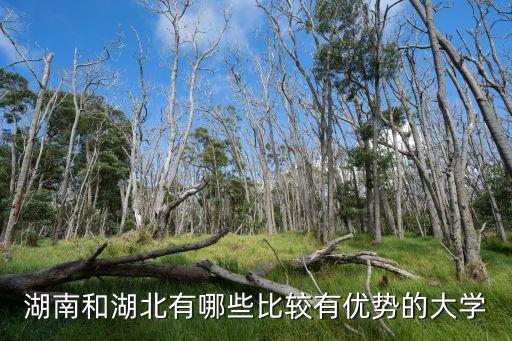 湖南和湖北有哪些比較有優(yōu)勢的大學(xué)