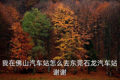 我在佛山汽車站怎么去東莞石龍汽車站謝謝
