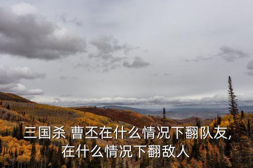 曹丕三國殺,三國殺十周年之曹仁下回合可以行動嗎?