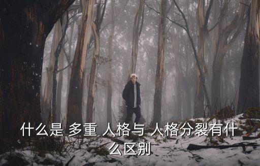 什么是 多重 人格與 人格分裂有什么區(qū)別