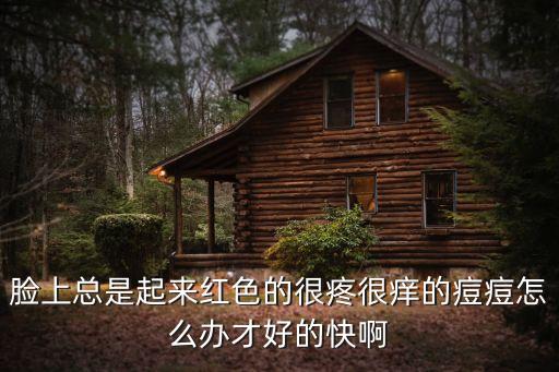 臉上總是起來紅色的很疼很癢的痘痘怎么辦才好的快啊