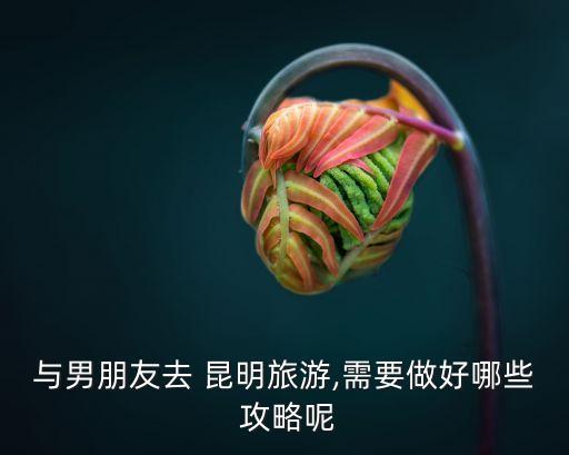 昆明游玩攻略