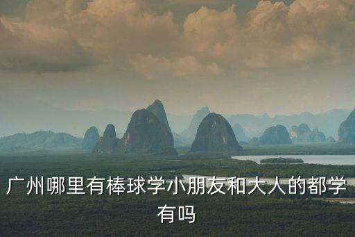 廣州哪里有棒球?qū)W小朋友和大人的都學(xué)有嗎