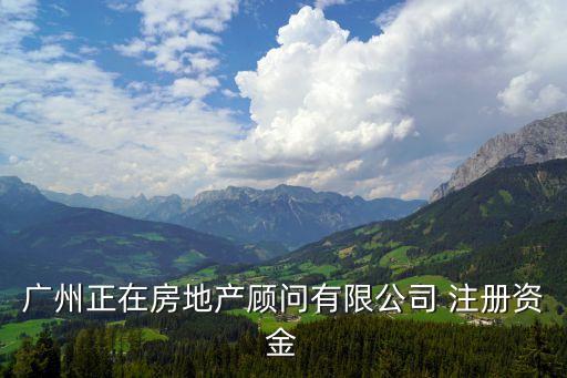 廣州正在房地產顧問有限公司 注冊資金